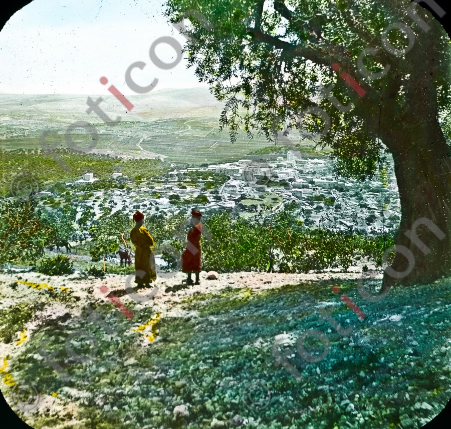 Hirten in Palästina | Shepherds in Palestine (foticon-simon-054-046.jpg)